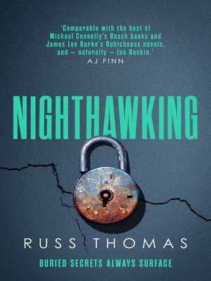 cover image of Nighthawking